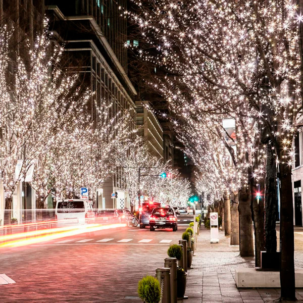 VEGAS 24V Электрогирлянда-конструктор "Нить" 48 теплых LED ламп (10 мигающих), прозрачный провод, 5 VEGAS 24V Электрогирлянда-конструктор "Нить" 48 теплых LED ламп (10 мигающих), прозрачный провод, 5