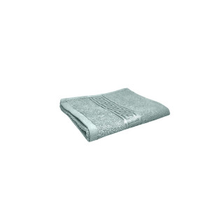 Салфетка махровая KT-0015G (греческий бордюр) 30*30 пл. 380 гр/м2 (цв.3205)