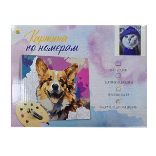 Холст с красками 22х30 см по номерам (16цв.) Котик в капюшоне (Арт. Х-4037)