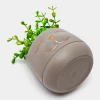 ИСКУССТВЕННЫЕ ЦВЕТЫ EVA5780